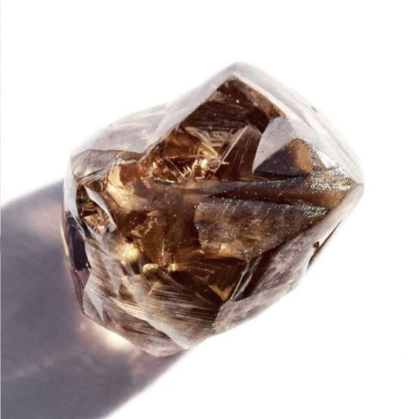 Brown Rough Diamond 10,000 usd per carat (Copy)