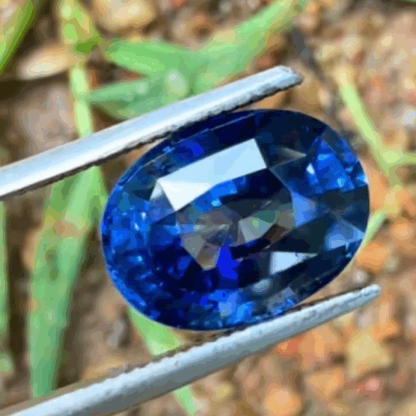 Blue Sapphire Gem 600 usd per carat colour AAA - Image 2