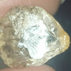 White Diamond Rough 10,000 usd per carat